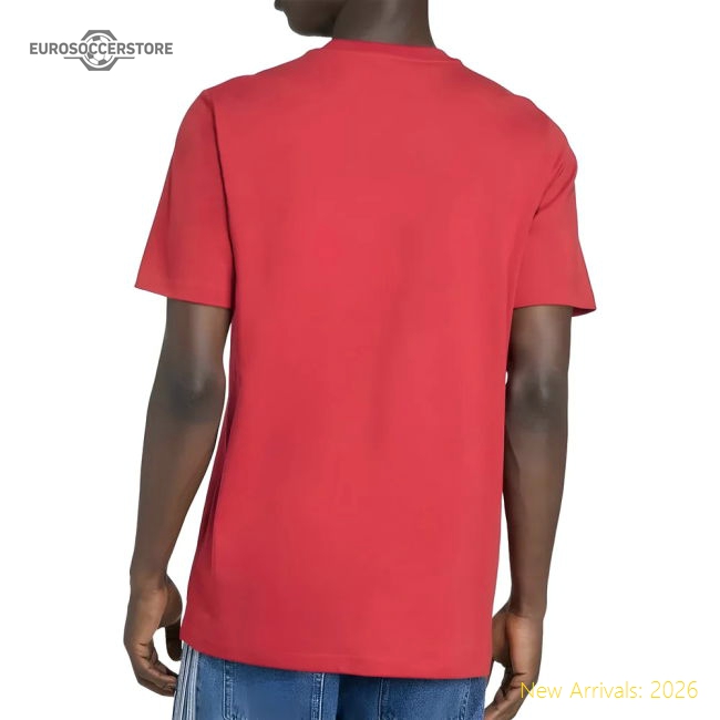 2025-2026 Liverpool DNA Graphic Tee (Red)-Vantage Point Soccer