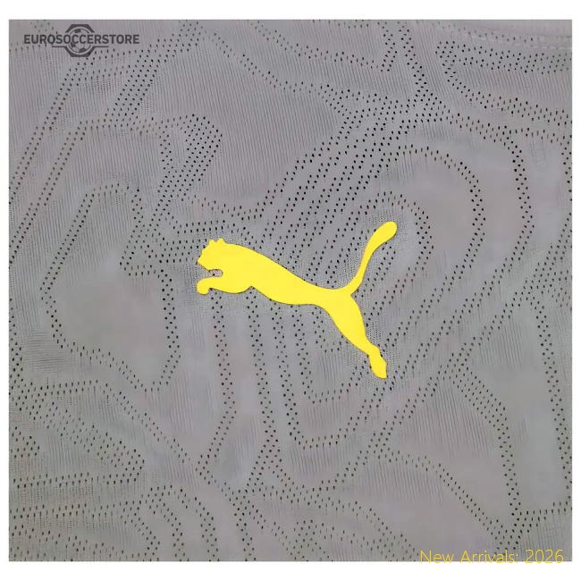 2024-2025 Racing Lens Training Shirt (Cast Iron)-Vantage Point Soccer