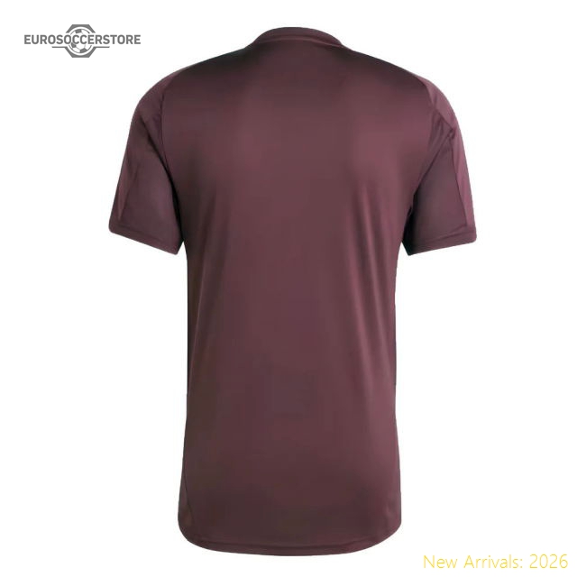 2024-2025 Bayern Munich Training Shirt (Shadow Maroon)-Vantage Point Soccer