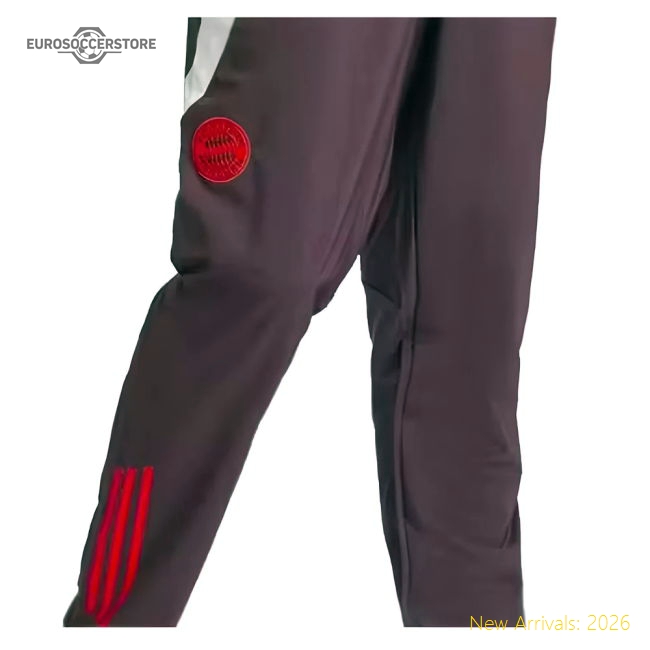 2024-2025 Bayern Munich Presentation Pants (Shadow Maroon)-Vantage Point Soccer