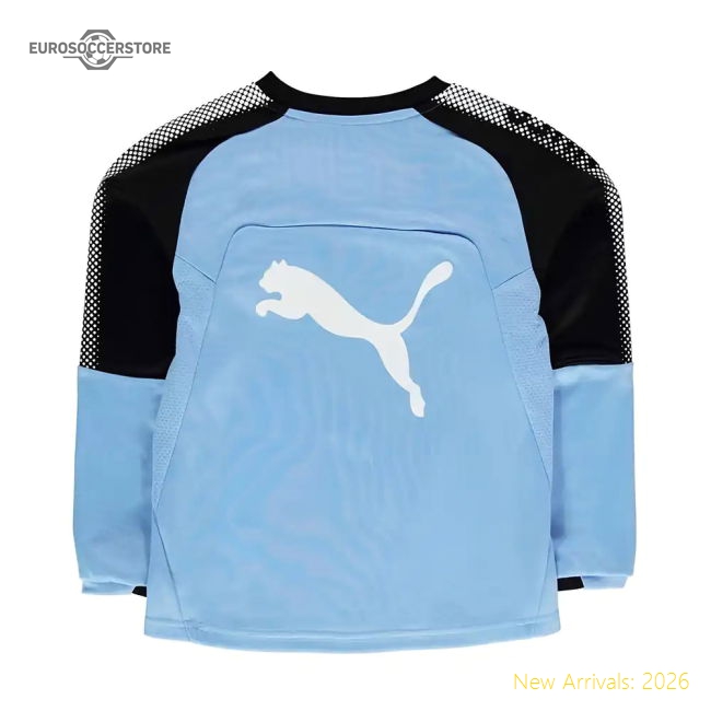 2017-2018 Newcastle Puma Sweat Top (Blue) - Kids-Vantage Point Soccer