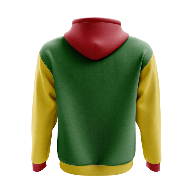 Bolivia Concept Country Football Hoody (Green)-Vantage Point Soccer