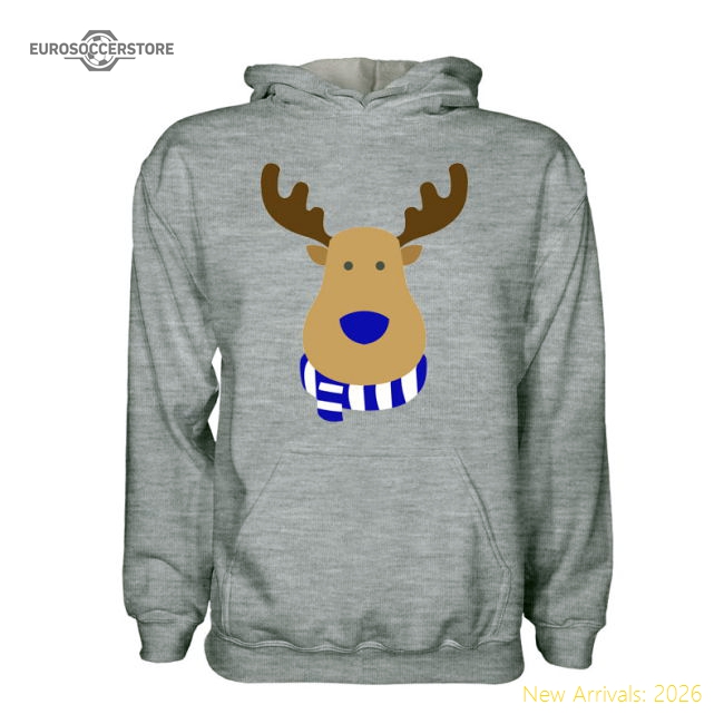 Hoffenheim Rudolph Supporters Hoody (grey)-The Soccer Shirt Hub