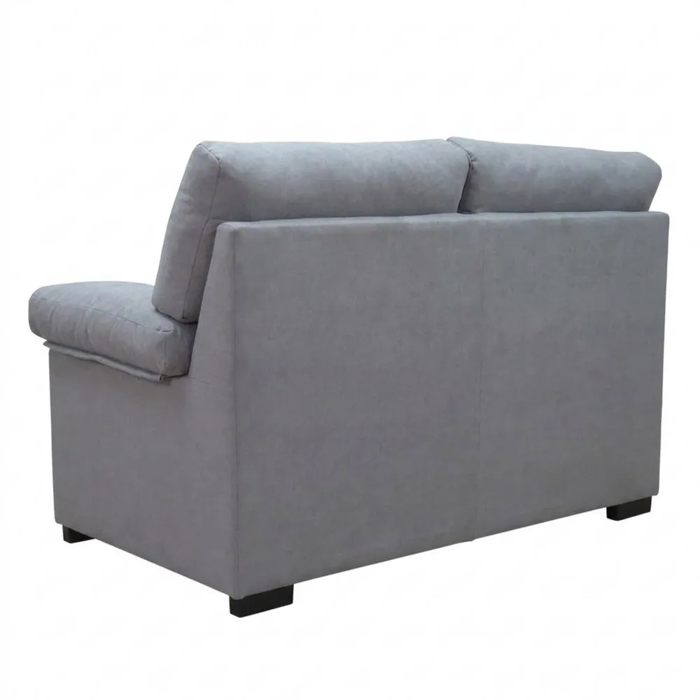 Sofá de 2 plazas para relajación y confort total | Dimensiones 145 x 100 x 95 cm | Tapizado en gris carbón