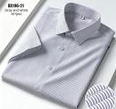 Gray and White Stripes
