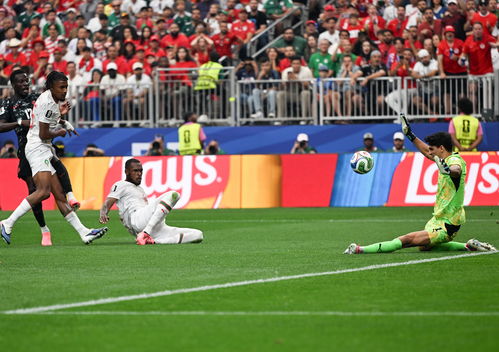 Morocco Team Celebration