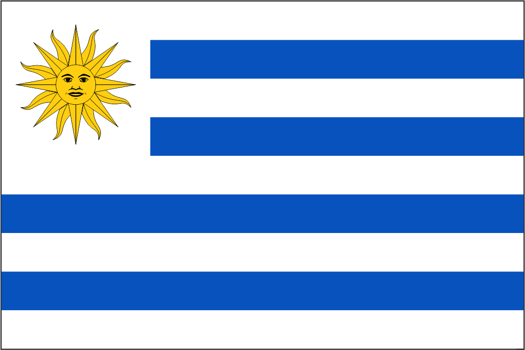 Uruguay national team flag