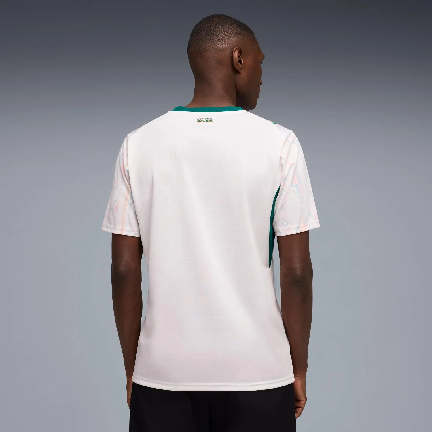 Senegal 2026 Home Men's Jersey - Lions of Teranga Fan Edition-Jersey Chest: 2026 World Cup Soccer Kits