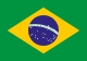 Brazil National Team Flag