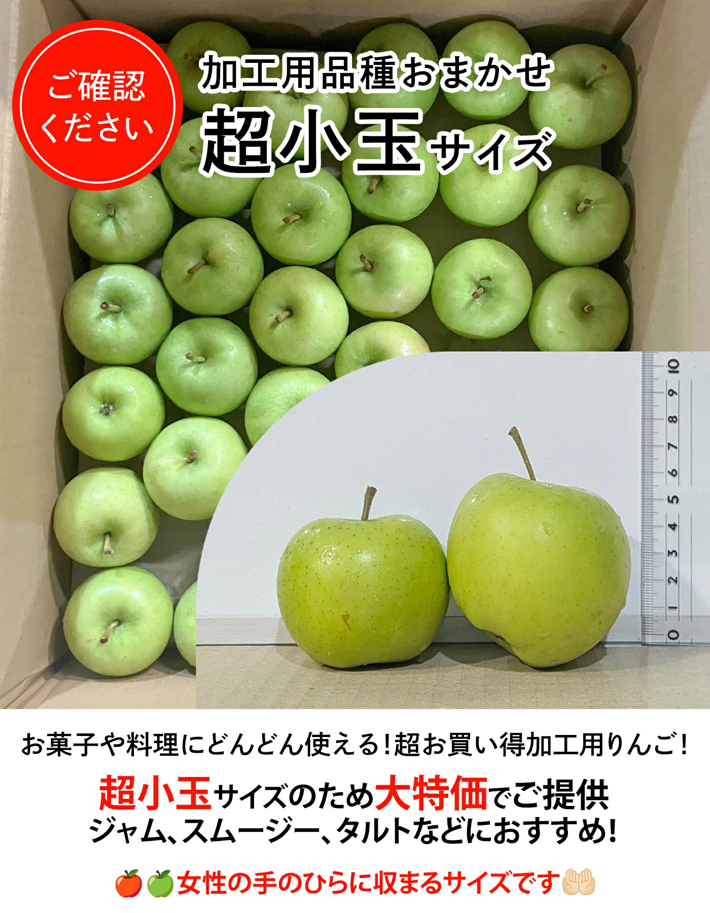 青森県産 加工用 りんご10,20kg 送料無料 激安 品種おまかせ 産地直送 訳ありりんご
