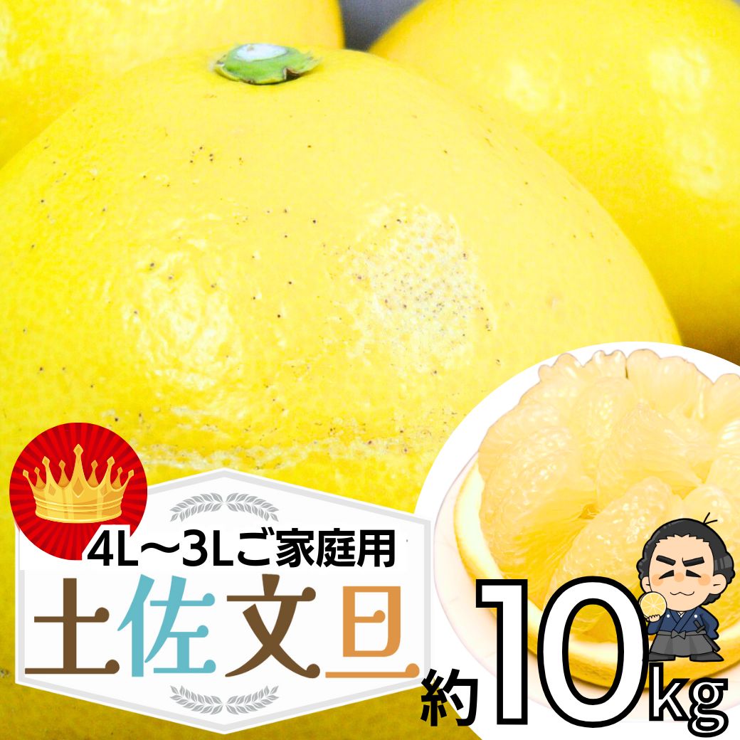 毎年大人気 土佐文旦 訳あり 4L～3Lサイズ 特大 超大玉がズッシリ 高知産 送料無料デカい旨い特大・土佐文旦10kg見た目訳あり中身は極高知の特大 土佐文旦のプリップリ果肉を堪能 家庭用 高知県 10キロ産直龍馬くん ※北海道・沖縄別途送料・離島配送不可