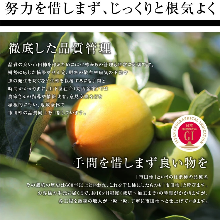 市田柿 干し柿 500g ご自宅用 長野県産 新物 | 柿 干柿 ほしがき 渋柿 訳あり 訳有り お徳用 お得用 お取り寄せ 果物 フルーツ 高糖度 ドライフルーツ 長野 お土産 冬 ギフト 産地直送 お菓子 和菓子 食品 おいしい 自然食品 GIマーク認証 2026