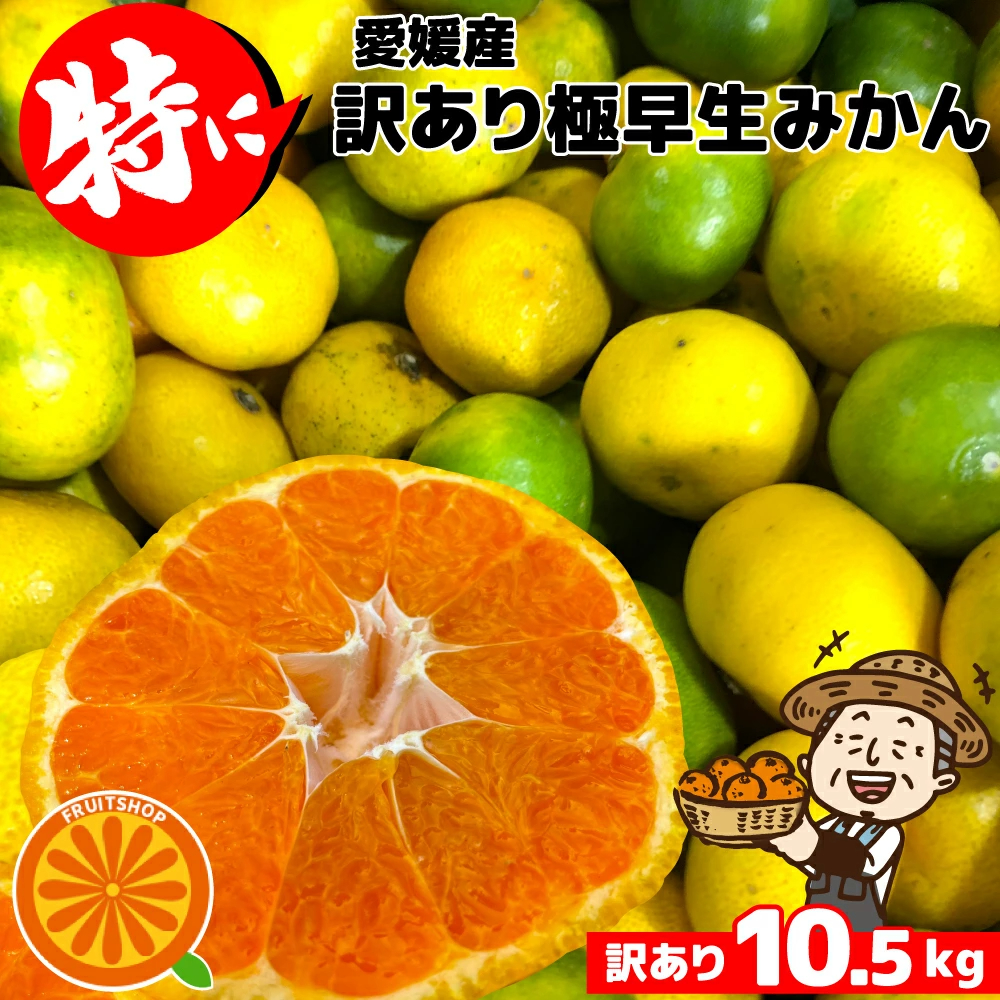 愛媛産 特に訳ありみかん1０kg(+約0.5kg多め)不揃い 傷 汚れ有 極早生 早生 青切り フルーツ 美味しいみかん 果物 くだもの 温州みかん 柑橘類 かんきつ 食品ロス コロナ おうち時間応援 産地直送 みかん