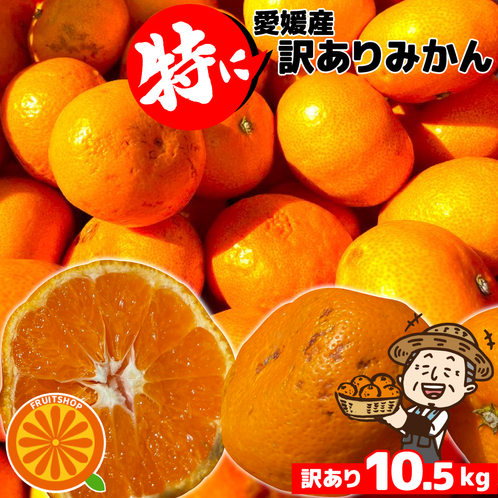 愛媛産 特に訳ありみかん1０kg(+約0.5kg多め)不揃い 傷 汚れ有 極早生 早生 青切り フルーツ 美味しいみかん 果物 くだもの 温州みかん 柑橘類 かんきつ 食品ロス コロナ おうち時間応援 産地直送 みかん
