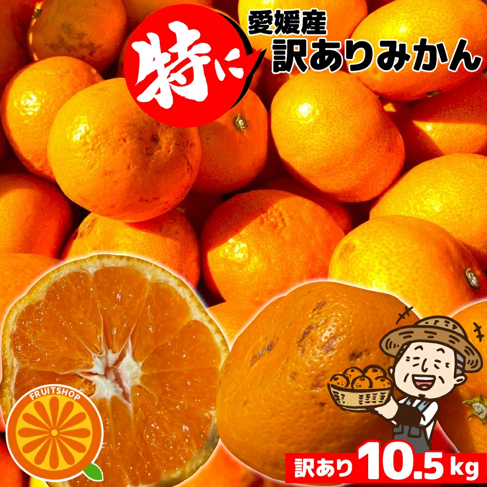 愛媛産 特に訳ありみかん1０kg(+約0.5kg多め)不揃い 傷 汚れ有 極早生 早生 青切り フルーツ 美味しいみかん 果物 くだもの 温州みかん 柑橘類 かんきつ 食品ロス コロナ おうち時間応援 産地直送 みかん