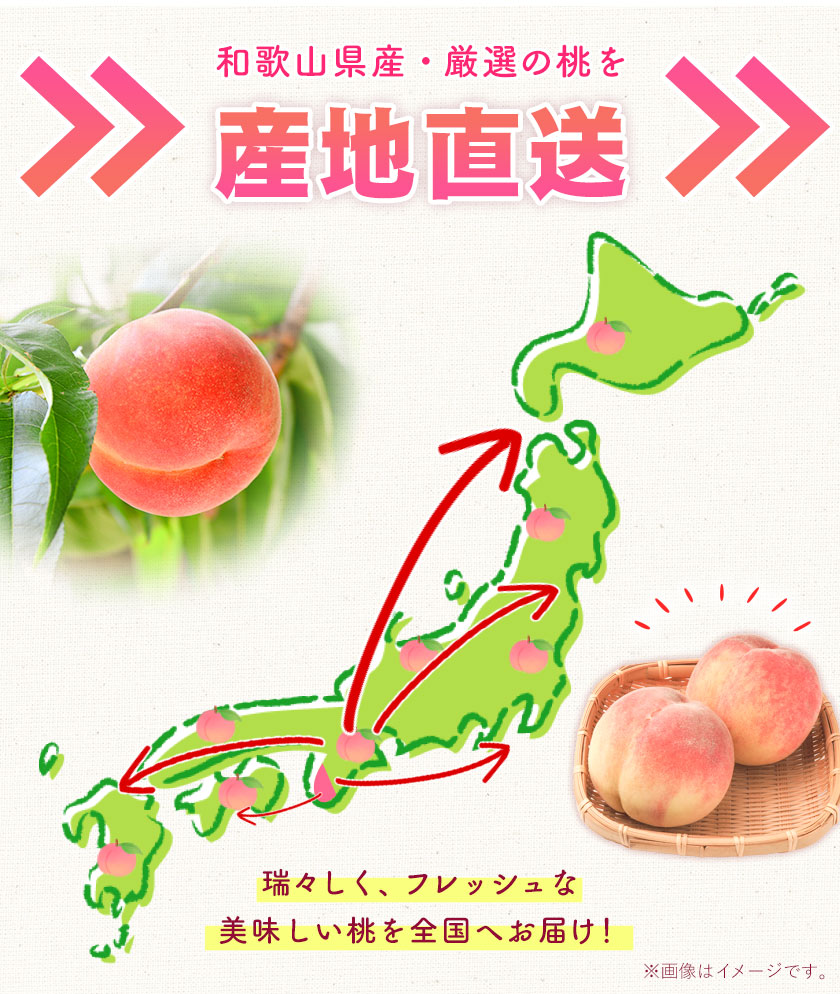 【ふるさと納税】高レビュー 和歌山県産 紀の里の桃 約2kg(6～8玉) 先行量販《2025年6月中旬-8月中旬頃出荷》桃 もも モモ 果物 フルーツ お取り寄せ 和歌山 白鳳 日川白鳳 八旗白鳳 清水白桃 川中島白桃 送料無料 9800円 和歌山県産