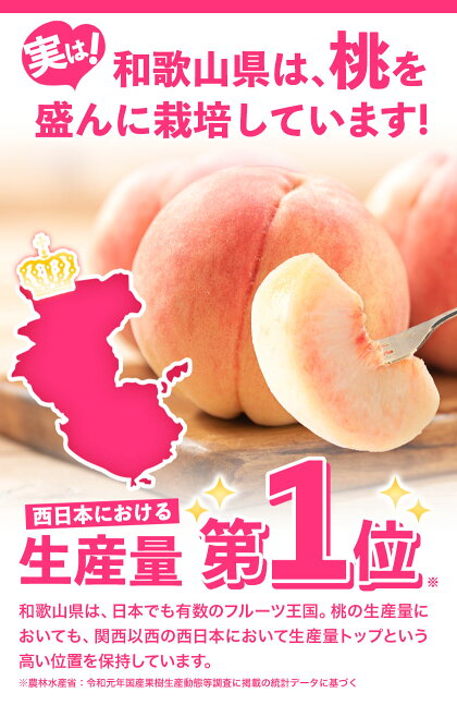 【ふるさと納税】高レビュー 和歌山県産 紀の里の桃 約2kg(6～8玉) 先行量販《2025年6月中旬-8月中旬頃出荷》桃 もも モモ 果物 フルーツ お取り寄せ 和歌山 白鳳 日川白鳳 八旗白鳳 清水白桃 川中島白桃 送料無料 9800円 和歌山県産