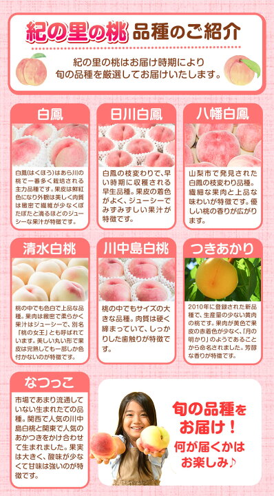 【ふるさと納税】高レビュー 和歌山県産 紀の里の桃 約2kg(6～8玉) 先行量販《2025年6月中旬-8月中旬頃出荷》桃 もも モモ 果物 フルーツ お取り寄せ 和歌山 白鳳 日川白鳳 八旗白鳳 清水白桃 川中島白桃 送料無料 9800円 和歌山県産