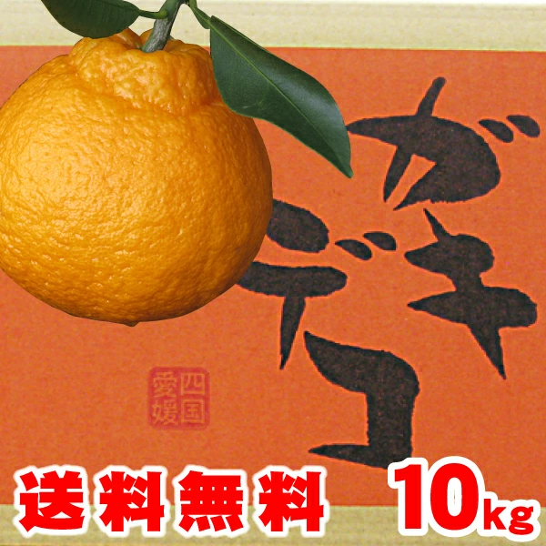 10ｋｇ2.680円⇒でありえない最安値に挑戦！デコポン・しらぬい選果ばね・未選果⇒ガキデコ（特殊条件付）訳あり家庭用・愛媛産