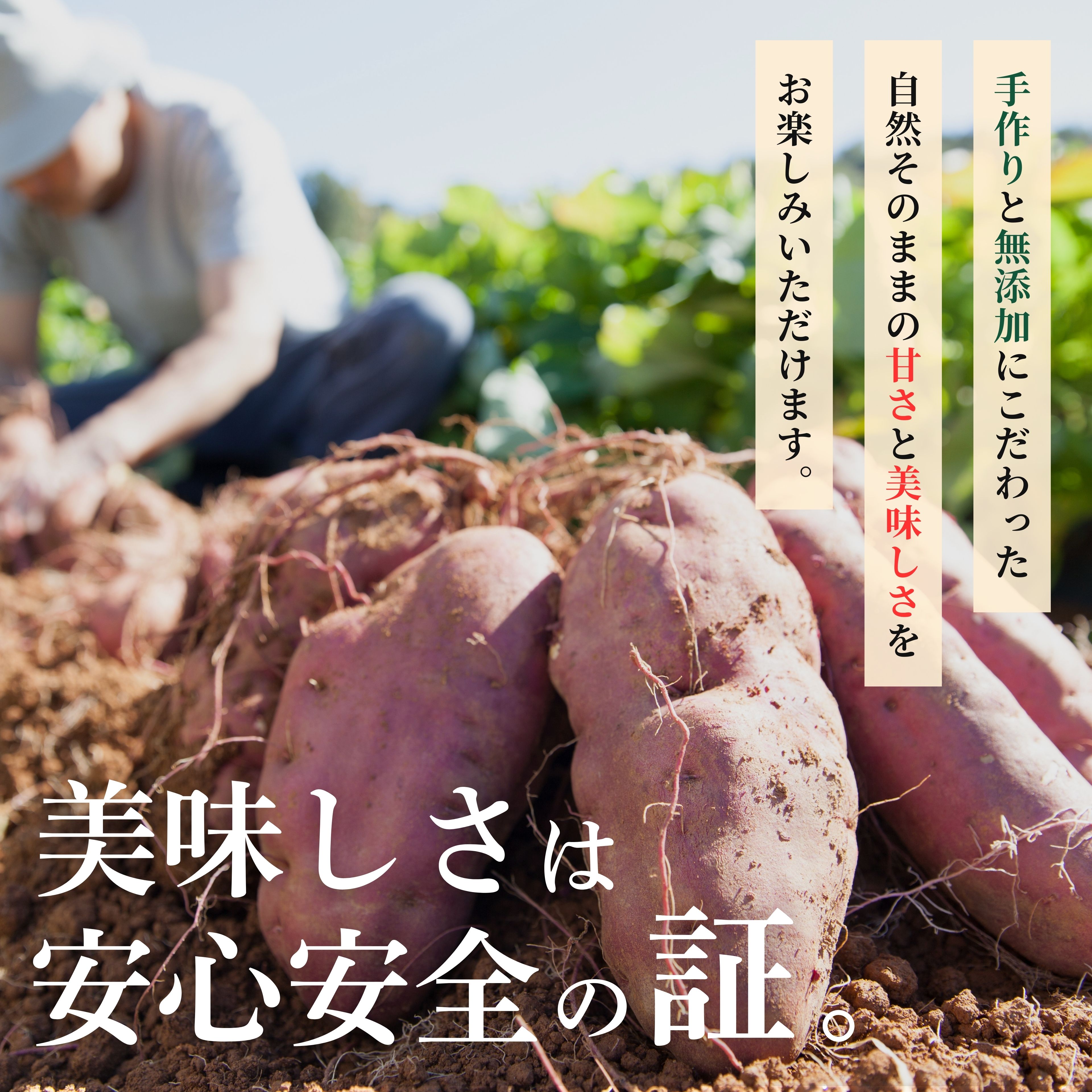 ＼ランキング3冠達成！／鹿児島県産 焼き芋 熟成 紅はるか 選べる【500g/1kg/2kg】小さめのお芋がたっぷり 無添加 蜜芋 さつまいも さつまいも 干し芋 好きに 美味しい