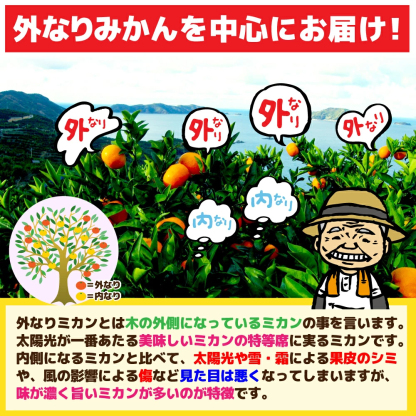 愛媛産 特に訳ありいよかん【送料無料(一部地域除く)】1０kg(+約0.5kg多め)不揃い 傷 汚れ有 伊予柑 イヨカン フルーツ 美味しいみかん 果物 くだもの 温州みかん 柑橘類 かんきつ 食品ロス コロナ いよ柑 産地直送 みかん