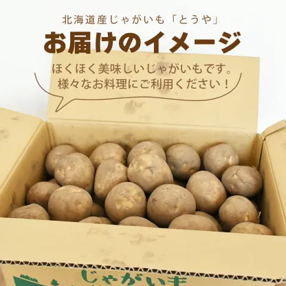 北海道産 じゃがいも 黄爵(とうや) 10kg 黄色くなめらかな じゃが芋 野菜 シチュー カレー ジャガイモ 国産 北海道産 産地直送 大容量 お得用 徳用 大容量 まとめ買い 業務用 贈り物 ほくほく 美味しい