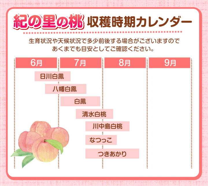 【ふるさと納税】高レビュー 和歌山県産 紀の里の桃 約2kg(6～8玉) 先行量販《2025年6月中旬-8月中旬頃出荷》桃 もも モモ 果物 フルーツ お取り寄せ 和歌山 白鳳 日川白鳳 八旗白鳳 清水白桃 川中島白桃 送料無料 9800円 和歌山県産