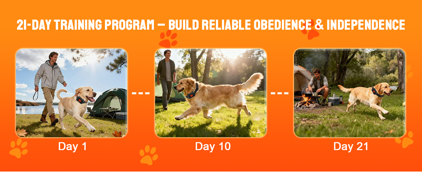 GPS Dog Collar Fence System