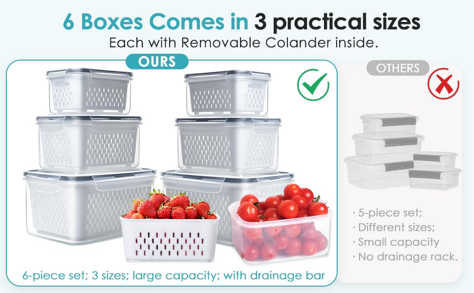 size food container