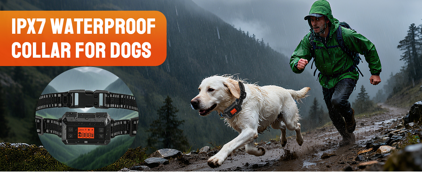 GPS Dog Collar Fence System