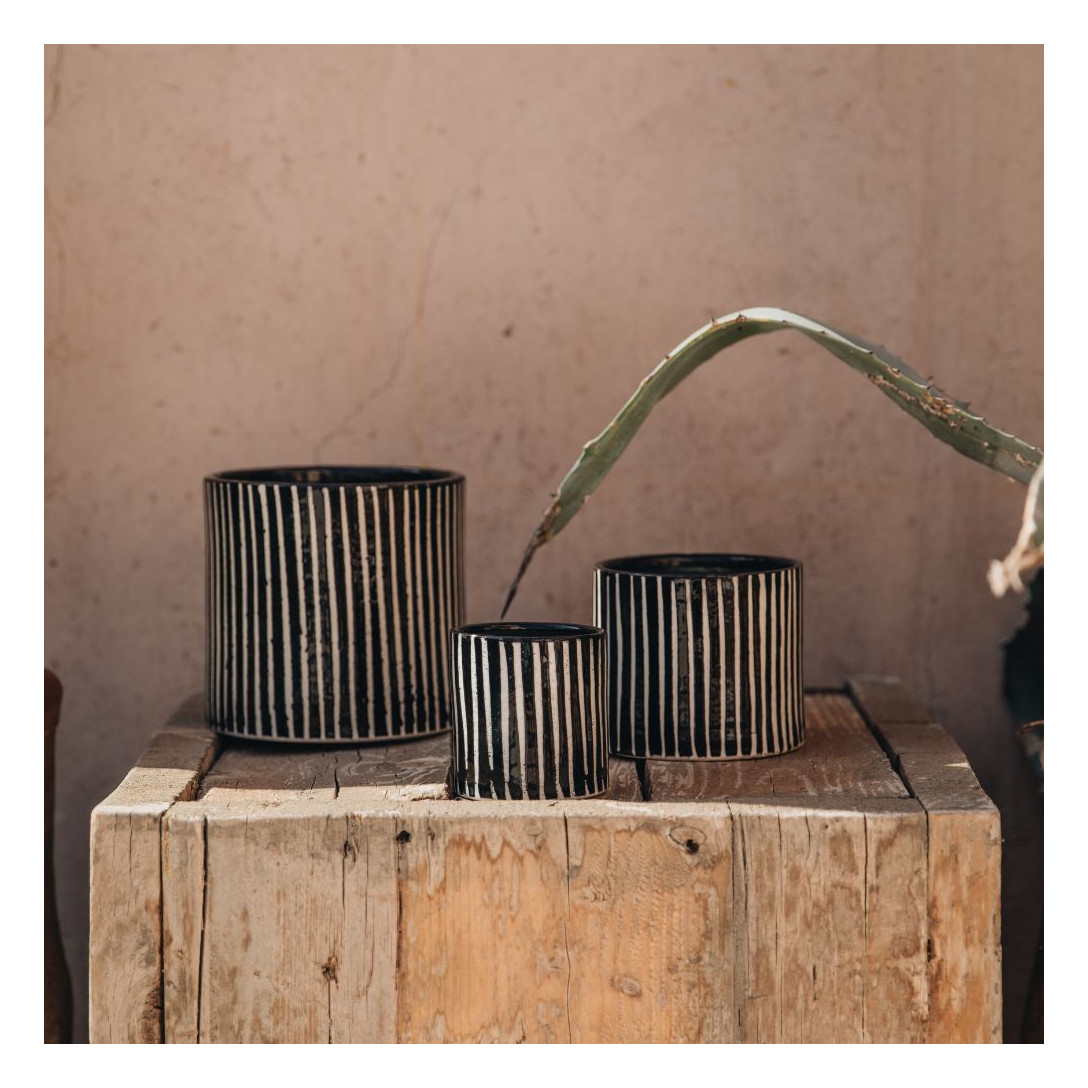 ZÉBRÉ NOIR