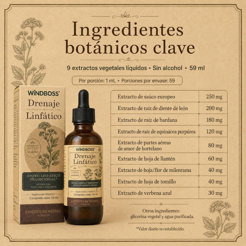 WindBoss Drenaje Linfático 59 ml | 9 Extractos Botánicos con Saúco, Diente de León, Bardana y Equinácea | Fórmula Líquida Sin Alcohol con Gotero