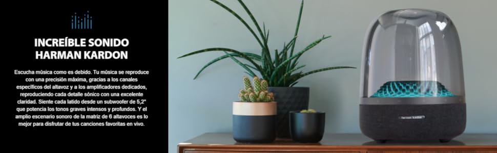 Aura Studio 4