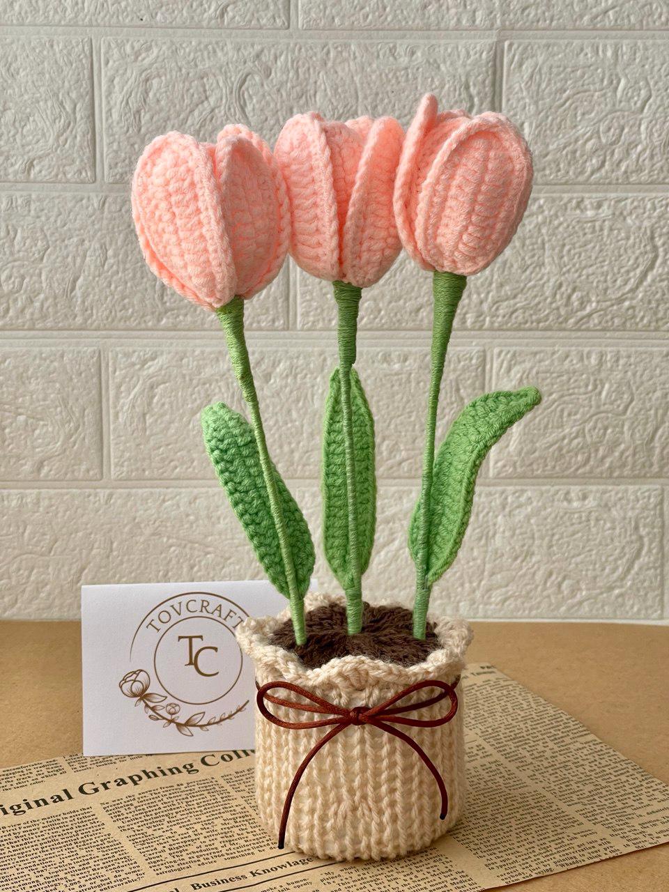 Crochet Flower Pot – Handmade – No Water Needed – Suitable for End of School Year or Graduation Gift