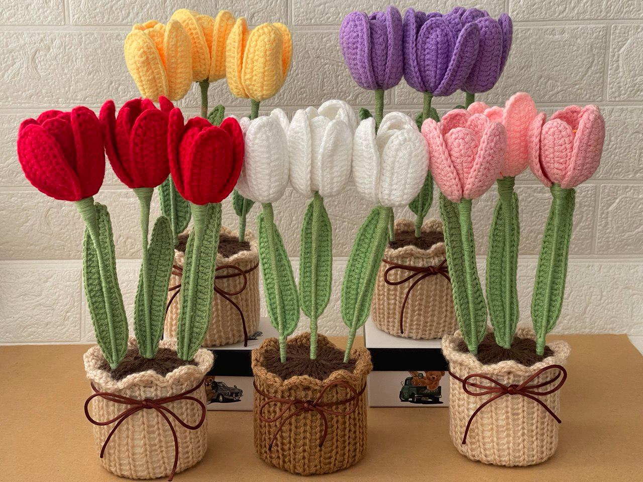 Crochet Flower Pot – Handmade – No Water Needed – Suitable for End of School Year or Graduation Gift