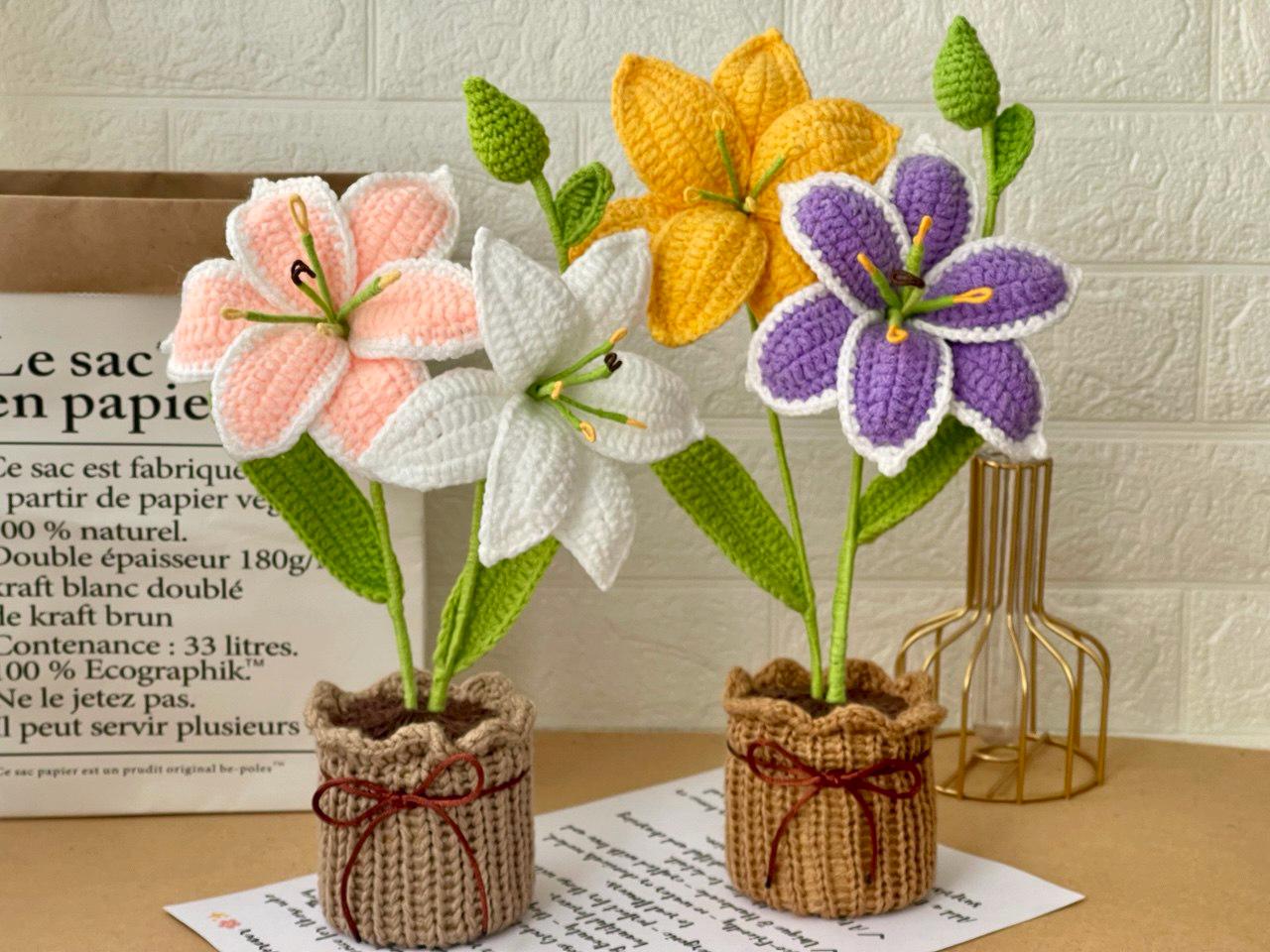 Crochet Flower Pot – Handmade – No Water Needed – Suitable for End of School Year or Graduation Gift