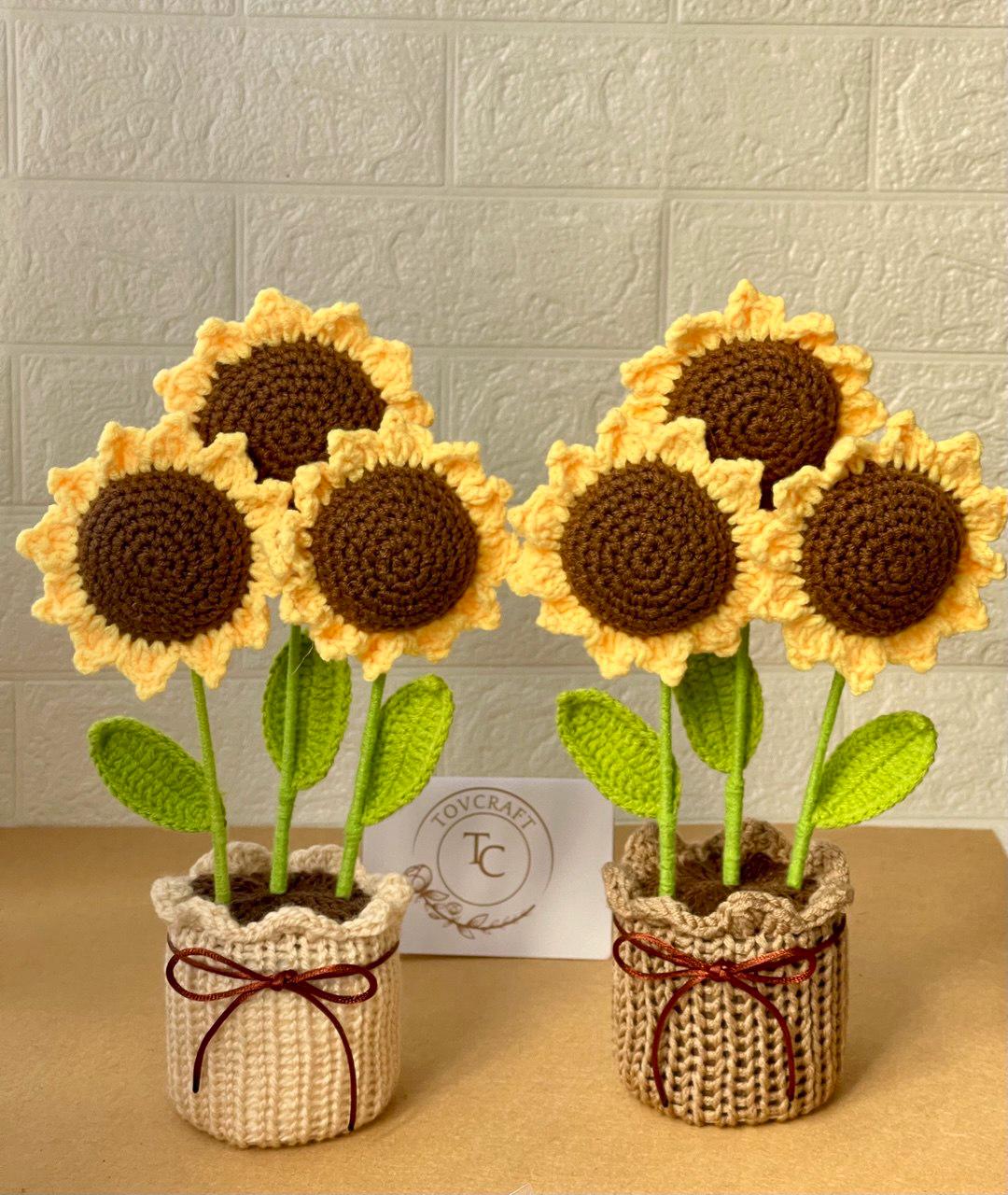 Crochet Flower Pot – Handmade – No Water Needed – Suitable for End of School Year or Graduation Gift