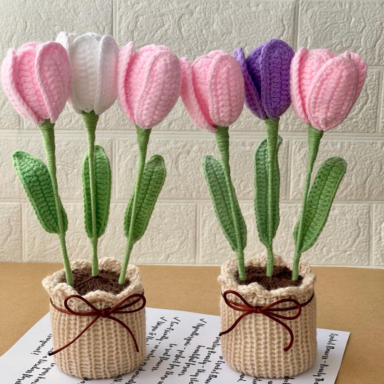 Crochet Flower Pot – Handmade – No Water Needed – Suitable for End of School Year or Graduation Gift
