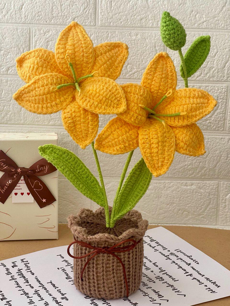 Crochet Flower Pot – Handmade – No Water Needed – Suitable for End of School Year or Graduation Gift