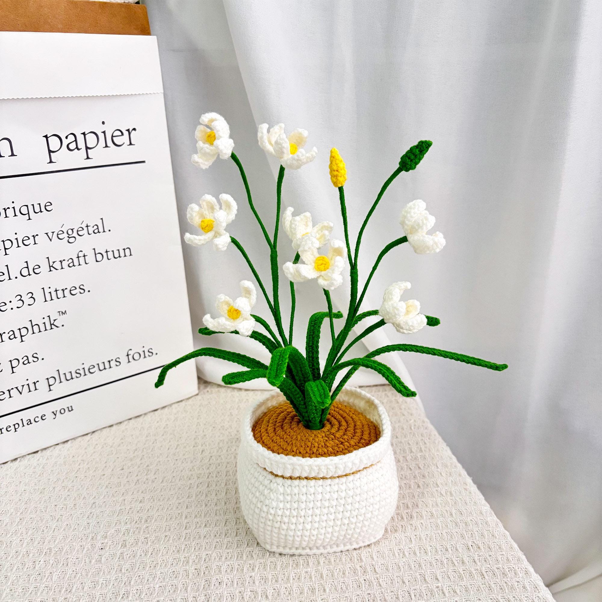 Handmade Crochet Orchid in Pot, Desk Decor, Home Decor