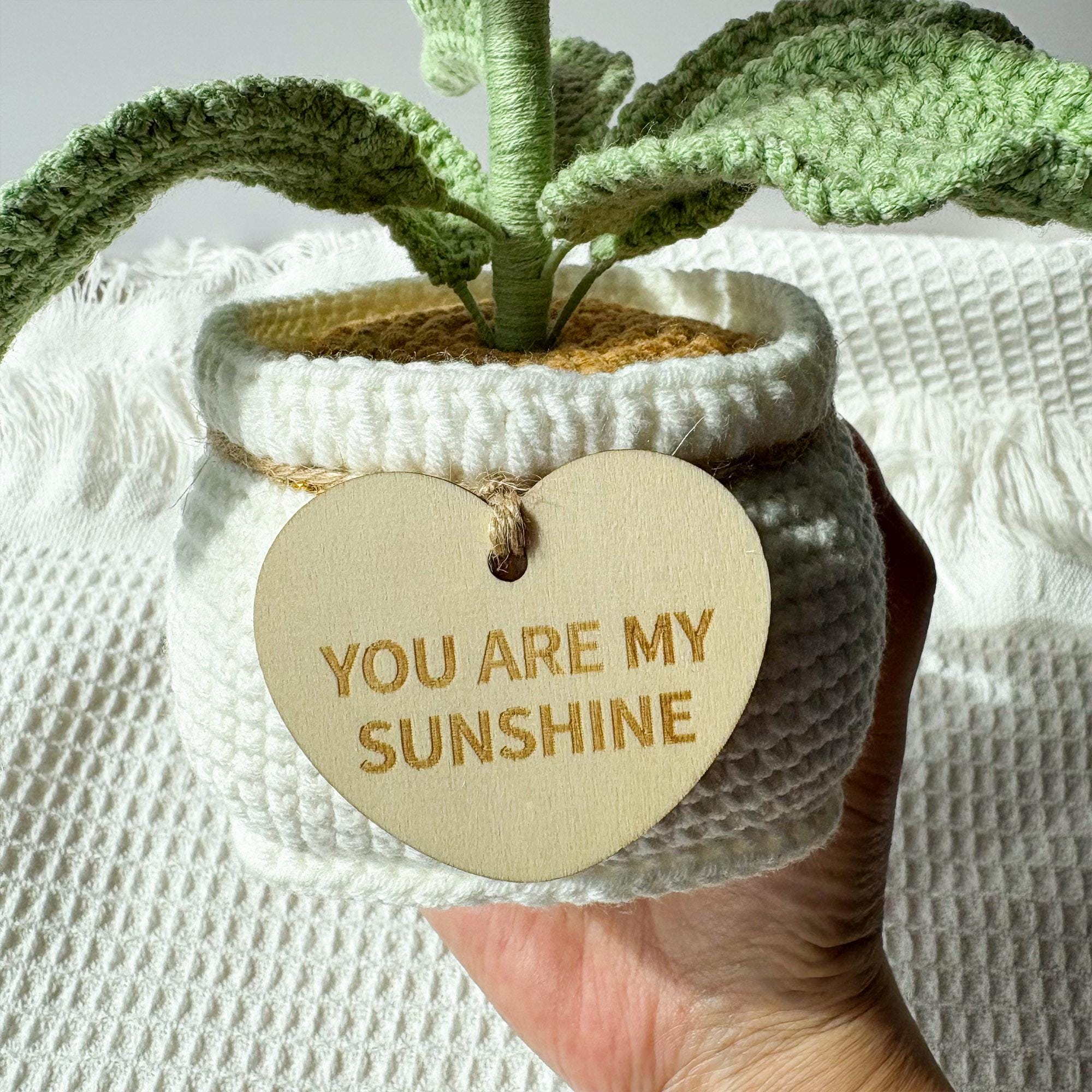 Handmade Crochet Orchid Plant – Potted – No Maintenance – Four Color Options