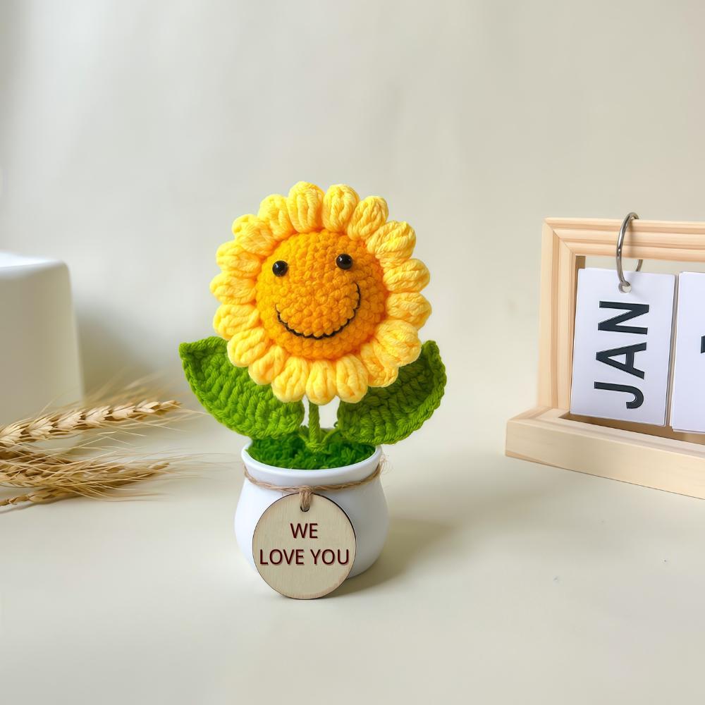 Hand-Crocheted Potted Flowers: Desktop Decorative Ornament