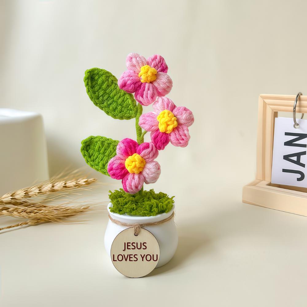 Hand-Crocheted Potted Flowers: Desktop Decorative Ornament