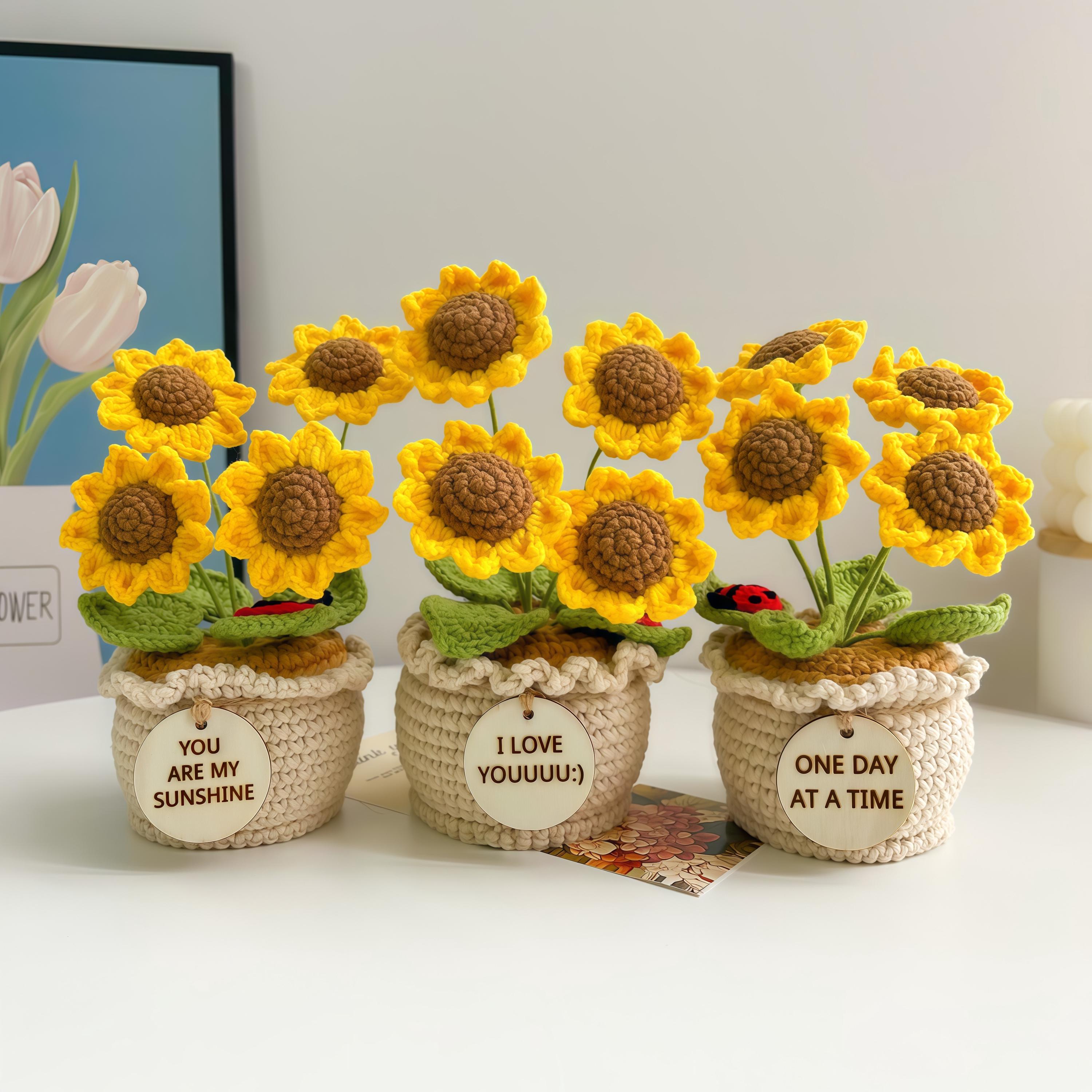 Hand-Crocheted Potted Flowers: Desktop Decorative Ornament