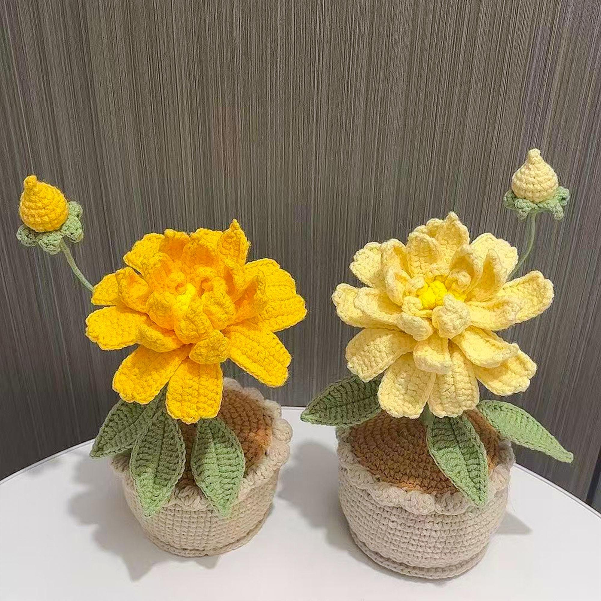 Handmade Crochet Banksia Rose Pot Plant – Five Colors