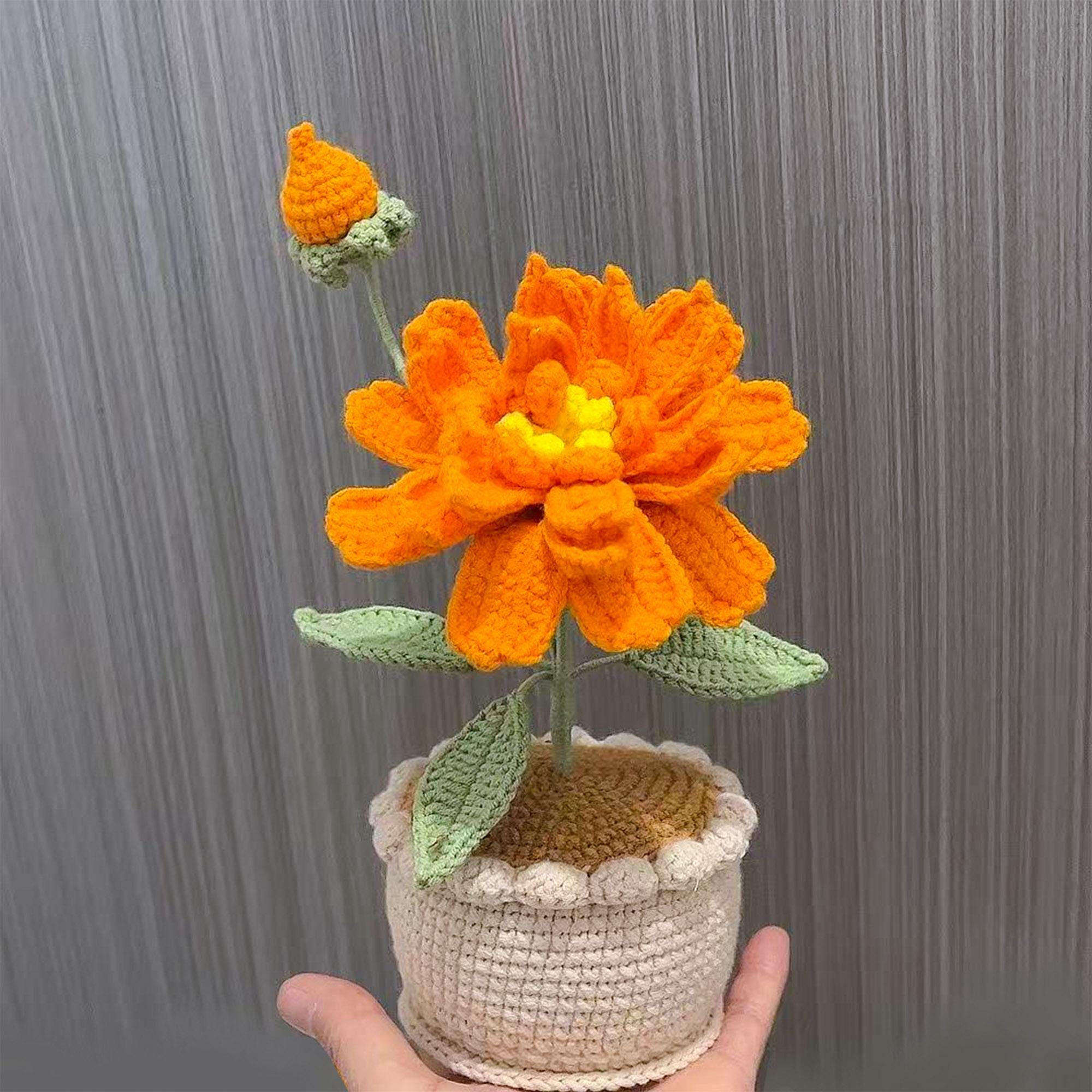 Handmade Crochet Banksia Rose Pot Plant – Five Colors