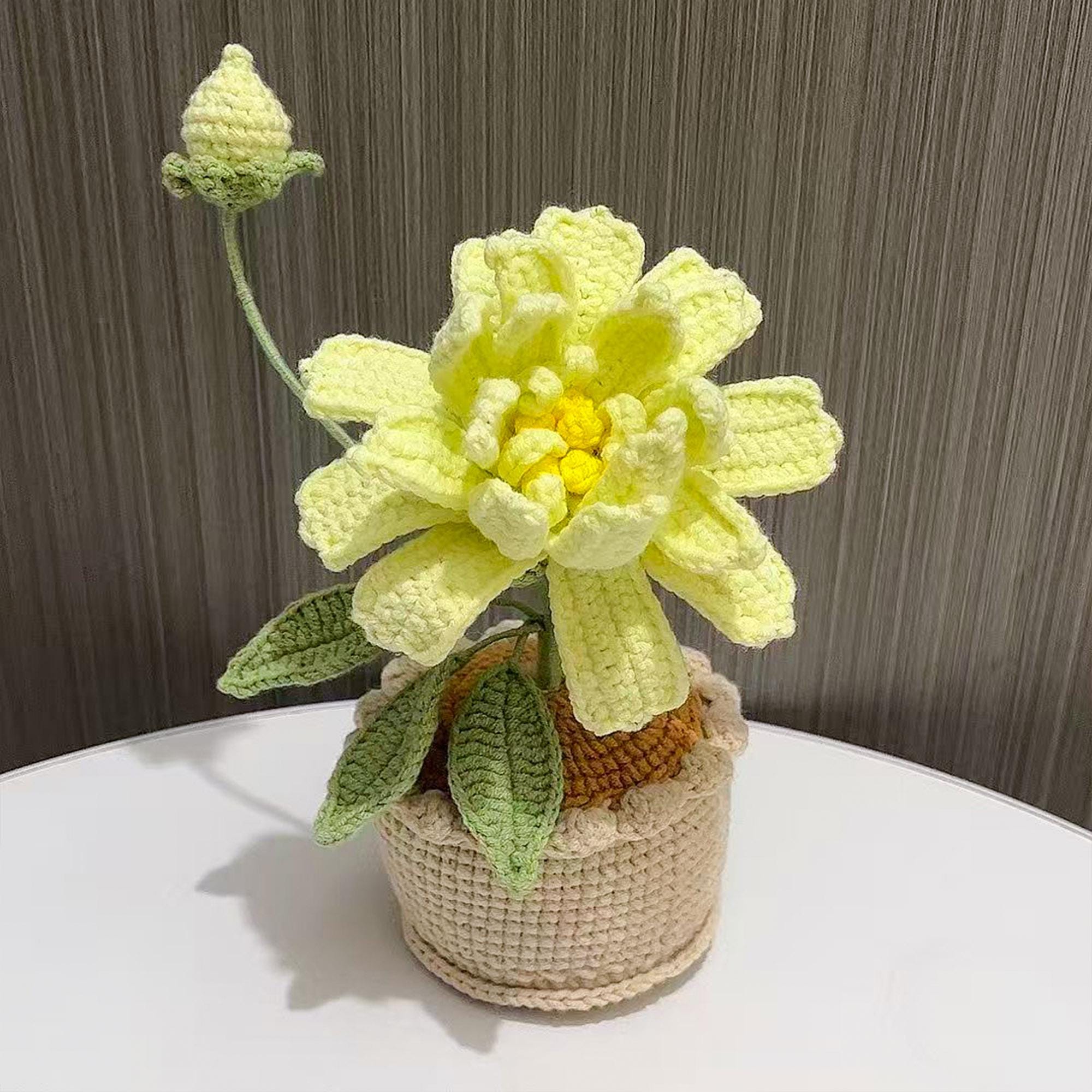 Handmade Crochet Banksia Rose Pot Plant – Five Colors