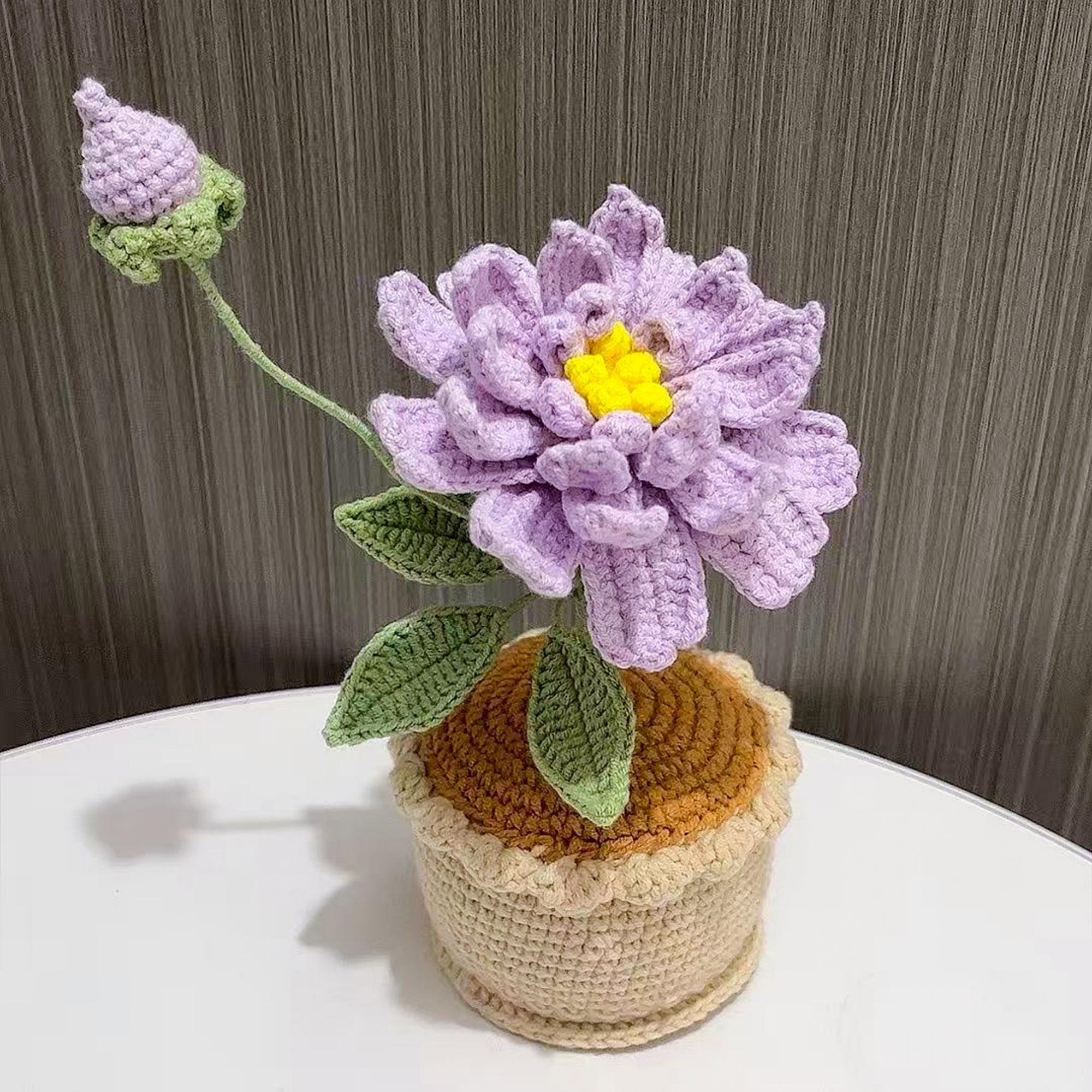 Handmade Crochet Banksia Rose Pot Plant – Five Colors
