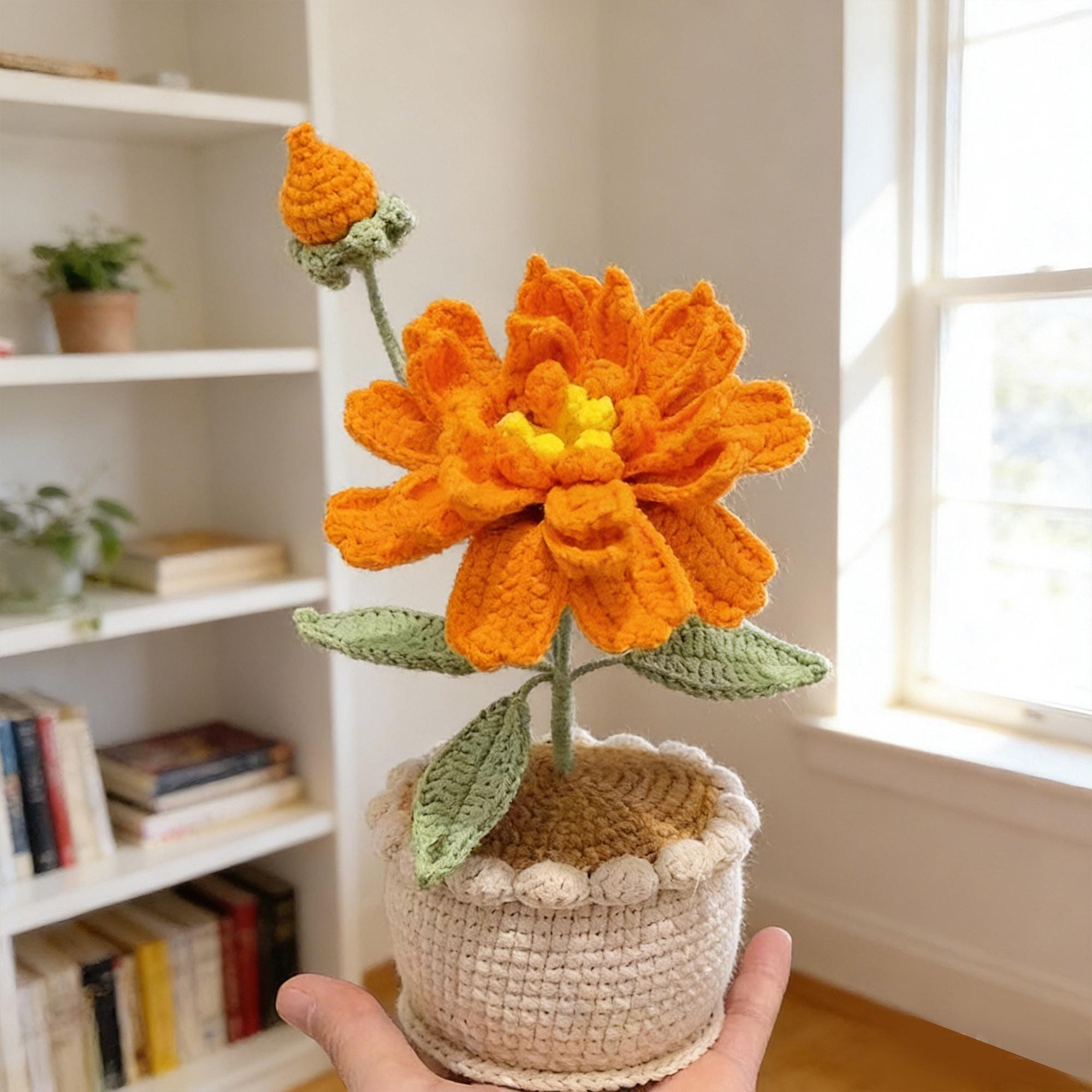 Handmade Crochet Banksia Rose Pot Plant – Five Colors