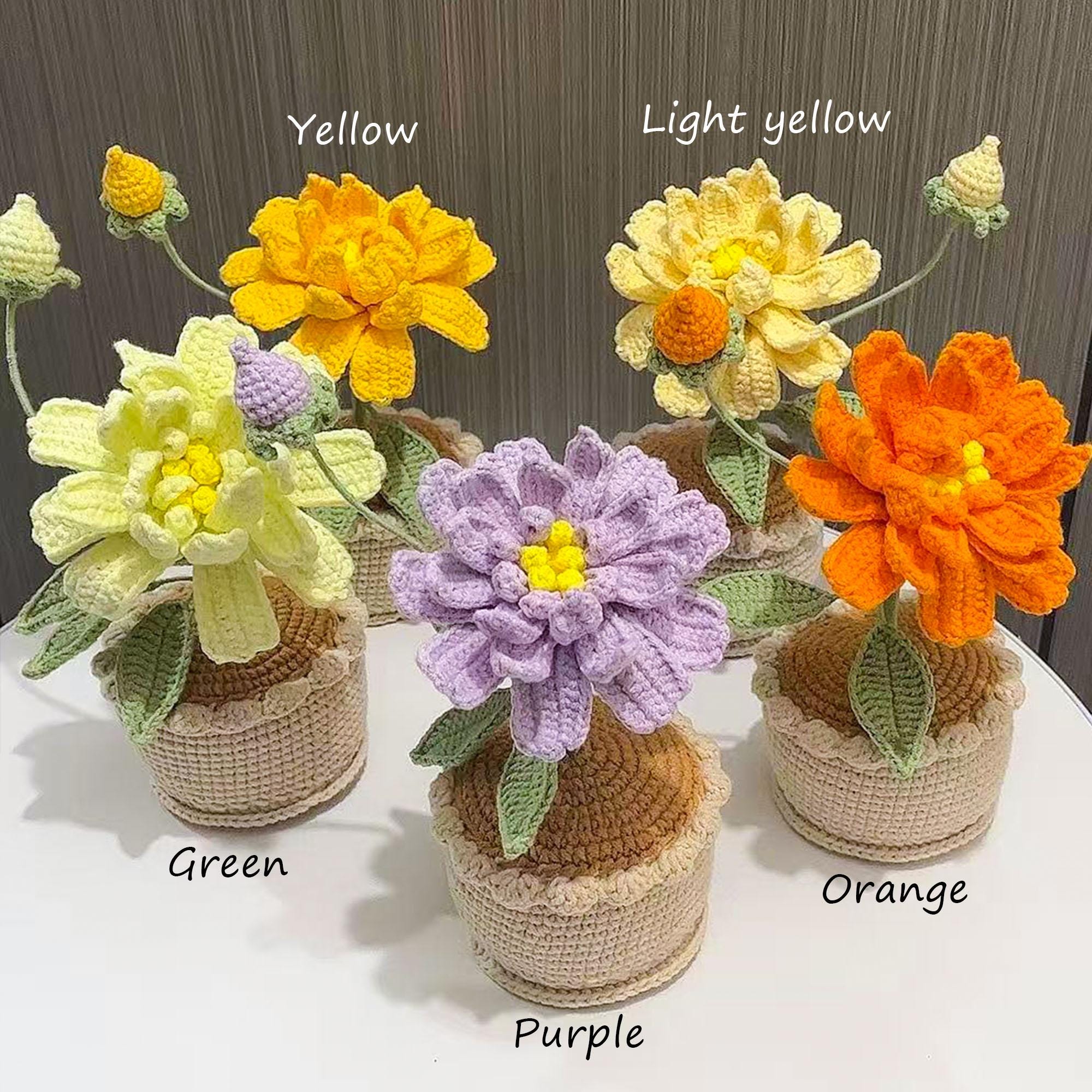 Handmade Crochet Banksia Rose Pot Plant – Five Colors